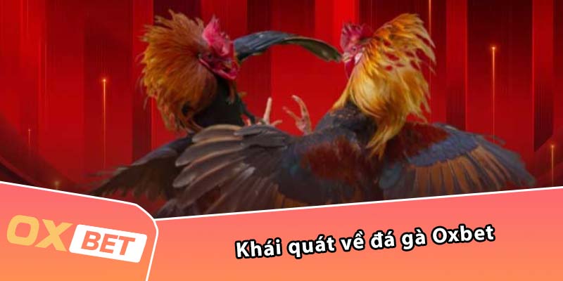 Khái quát về đá gà Oxbet