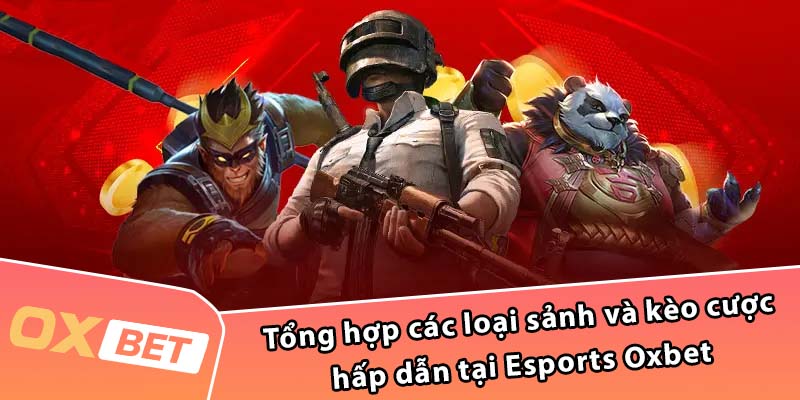 Tổng hợp các loại sảnh và kèo cược hấp dẫn tại Esports Oxbet